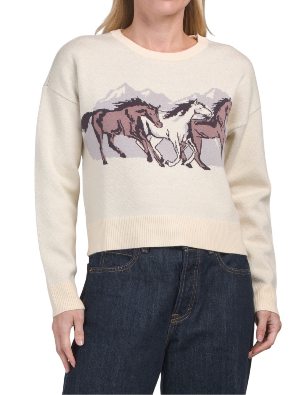 NWT Sincerely Jules Cream Horse-Graphic Crewneck Sweater - S